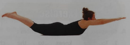 Illustration of different movement pathways including straight, curved, and zigzag patterns