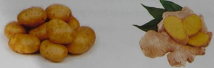 Offering a range of teaching materials, this resource includes activities, presentations, and worksheets aimed at educating students about balanced diets and the importance of nutrition