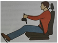 A video lesson that introduces students to the basics of health and physical education, focusing on the human body