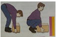 This comprehensive unit contains lessons related to human health and body systems, aligned with the 2022 Ontario Science Curriculum