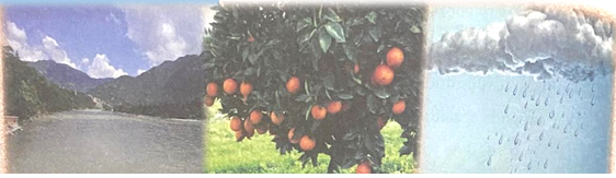 Exploring How Giving Enhances Personal Growth for Sixth Graders