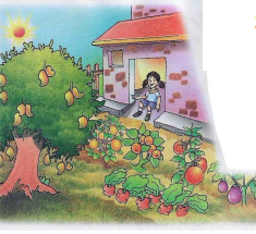 This resource provides a clear explanation of cooperation tailored for young students. It includes engaging activities and discussions designed to help children understand and practice cooperative behaviors in various settings