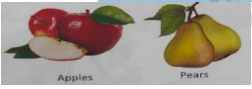 Healthy food chart displayed during a nutrition lesson for young children