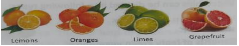 Children discussing food groups and nutrition in an interactive classroom activity