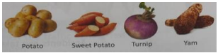 Students identifying healthy and unhealthy foods in a school health education session