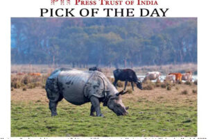 ncert-textbook-shows-indian-rhino-with-2-horns-sparks-row.jpg