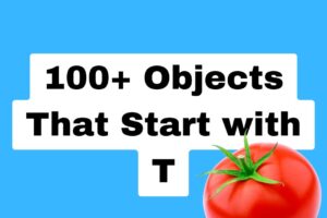 100-Objects-That-Start-with-T.jpg