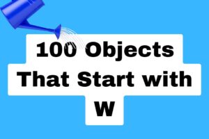 100-Objects-That-Start-with-W.jpg
