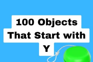 100-Objects-That-Start-with-Y.jpg