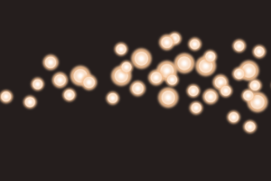 Fully-Seen.png
