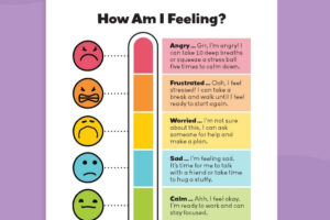 WeAreTeachers_Article_Zones-of-Regulation-Posters_Pinterest-Pin-.jpg