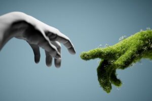 Building-Climate-Competence-With-Immersive-Learning.jpg
