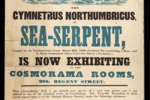 Victorian20Sea20Serpent20History20Today.jpg