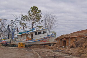 katrina_1756400352.jpg