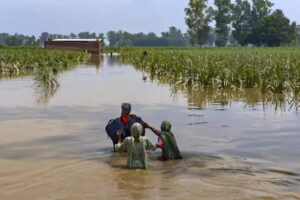66-govt-schools-in-ferozepur-fazilka-to-be-closed-till-fresh-orders.jpg