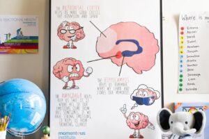 mader-ec-brain-learning.jpeg