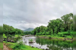 after-public-outcry-bangalore-university-trims-proposal-to-chop-420-trees.jpg