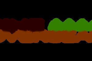 disrupting-the-education-to-career-gap-how-the-pine-groups-integrated-ecosystem-solves-5-critical-problems.jpg