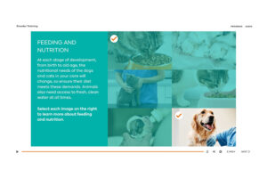 Template_example_1.jpg Template_example_1.jpg