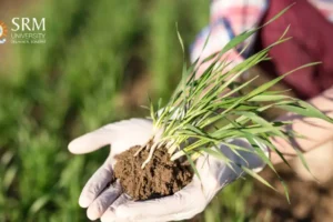 best-B.Sc_.-agriculture-colleges-in-India.webp best-B.Sc_.-agriculture-colleges-in-India.webp