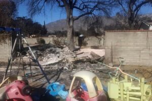 Fire_recovery_01_edit.jpg Fire_recovery_01_edit.jpg