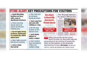 maharashtra-over-35-school-students-injured-in-bee-attack-during-school-trip-in-madhe-ghat.jpg maharashtra-over-35-school-students-injured-in-bee-attack-during-school-trip-in-madhe-ghat.jpg