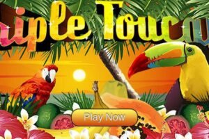tripletoucan-676×353-Button.jpg